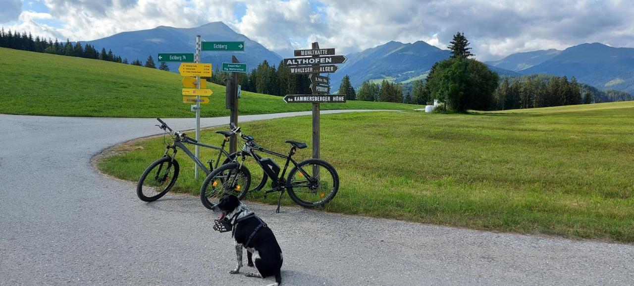 Camping Bella Austria Sankt Peter am Kammersberg Bagian luar foto