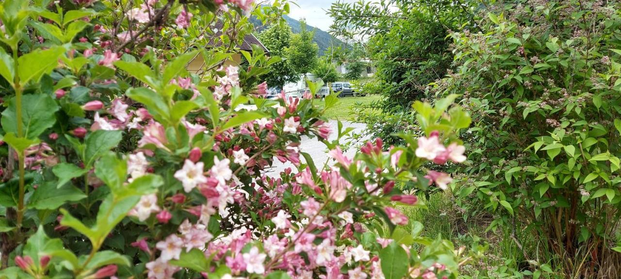 Camping Bella Austria Sankt Peter am Kammersberg Bagian luar foto